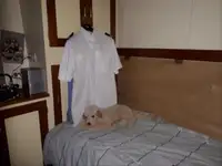 Patrullera en venta