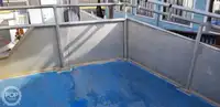 Catamarán en venta