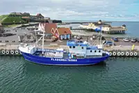 Trawler en venta