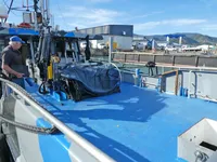 Buque de ferry en venta