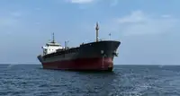 Portador de cemento en venta