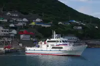 Granelero en venta