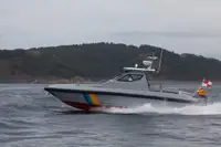 Bote patrulla en venta