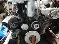 Palangrero en venta