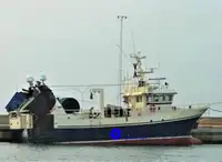 Buque para el procesamiento y la entrega de pescado en venta