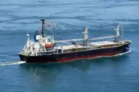 Granelero en venta