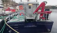Embarcaciones de trabajo en venta