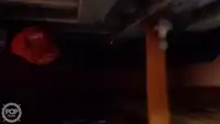 Arrastrero en venta