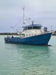 Arrastrero en venta