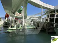 Buque Ro-Ro en venta
