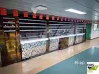 Buque Ro-Ro en venta