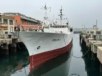 Arrastrero en venta