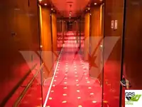 Buque de crucero en venta