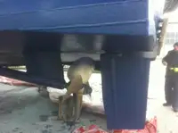 Lancha de tripulación en venta