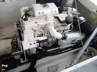 Soporte para buceo en venta