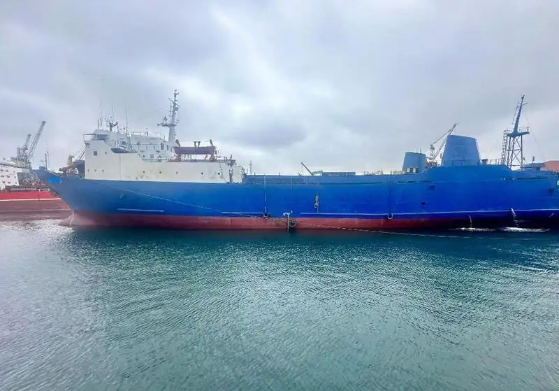 Buque granelero en venta