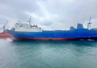 Buque granelero en venta