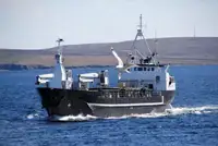 Granelero en venta