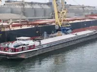 Buque granelero en venta