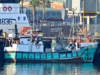 Purse seiner en venta