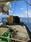Purse seiner en venta