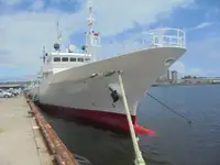 Bote patrulla en venta