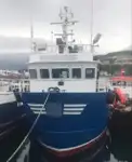 Embarcaciones de trabajo en venta