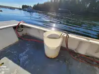 Buque de procesamiento de pescado en venta