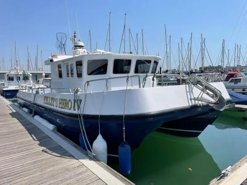 Catamarán en venta