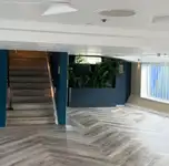 Transbordador de crucero en venta