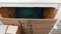 Arrastrero en venta
