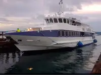 Barco de transbordador en venta
