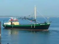 Arrastrero en venta