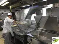 Buque de crucero en venta