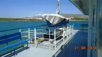 Ro-Ro ship en venta