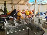 Palangrero en venta