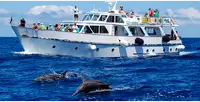 Crucero en venta