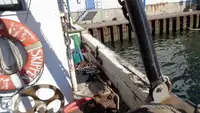 Arrastrero en venta