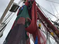 Arrastrero en venta