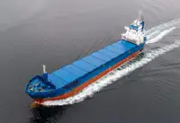 Granelero en venta