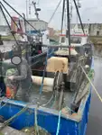 Portador de peces vivos en venta