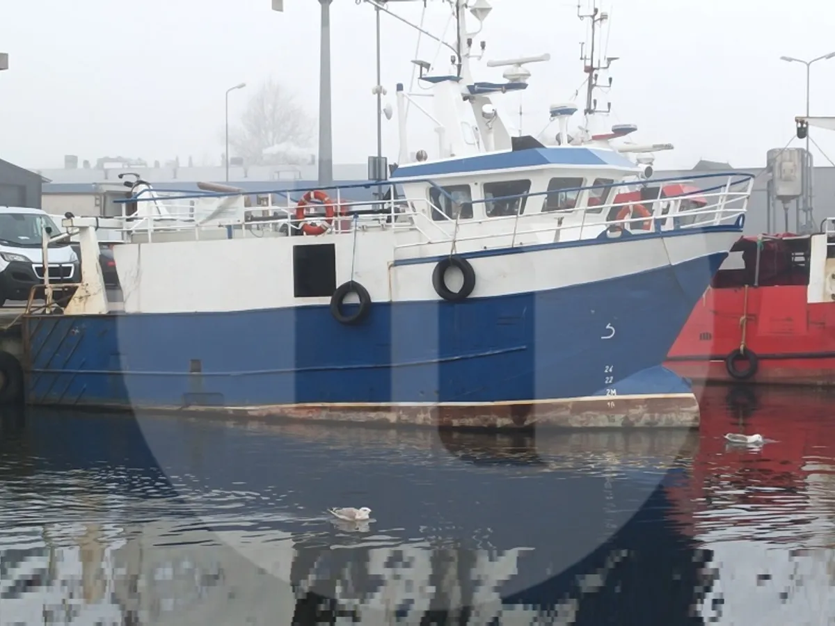 Buque transportador de peces vivos en venta