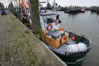 Arrastrero en venta