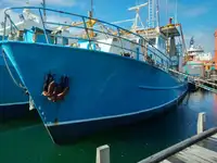 Trawler en venta