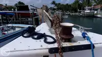 Soporte para buceo en venta