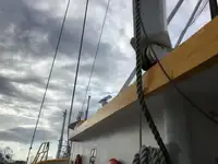 Arrastrero en venta