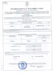 Buque Ro-Ro en venta