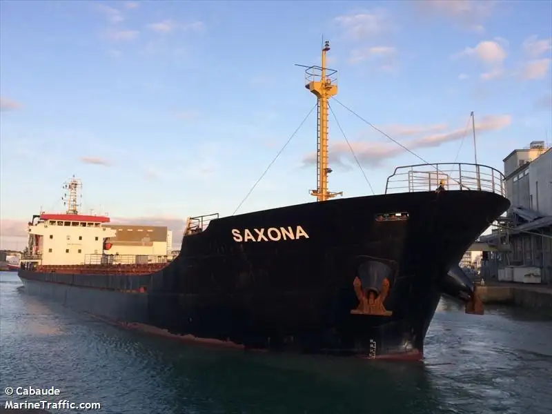 Buque granelero en venta
