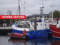 Arrastrero de viga en venta