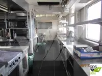 Buque de crucero en venta